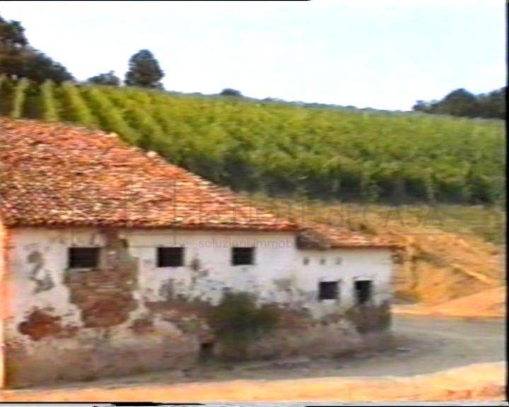 Rustico in vendita a Cesena, San Vittore