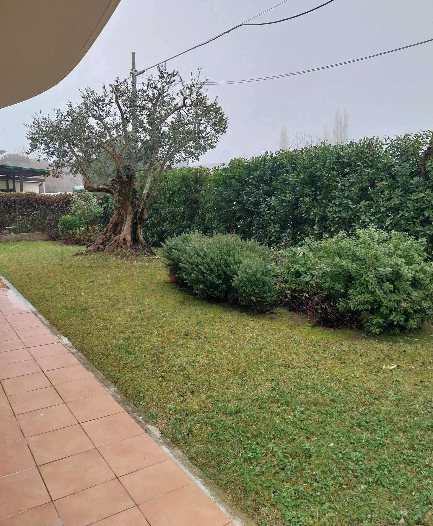 Villa in vendita a Cervia, Pinarella