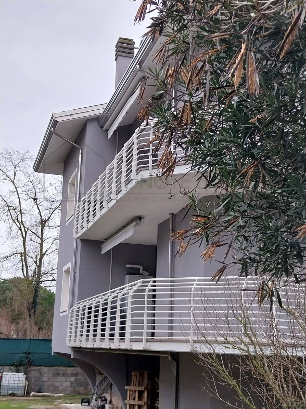 immagine annuncio 3 di 8