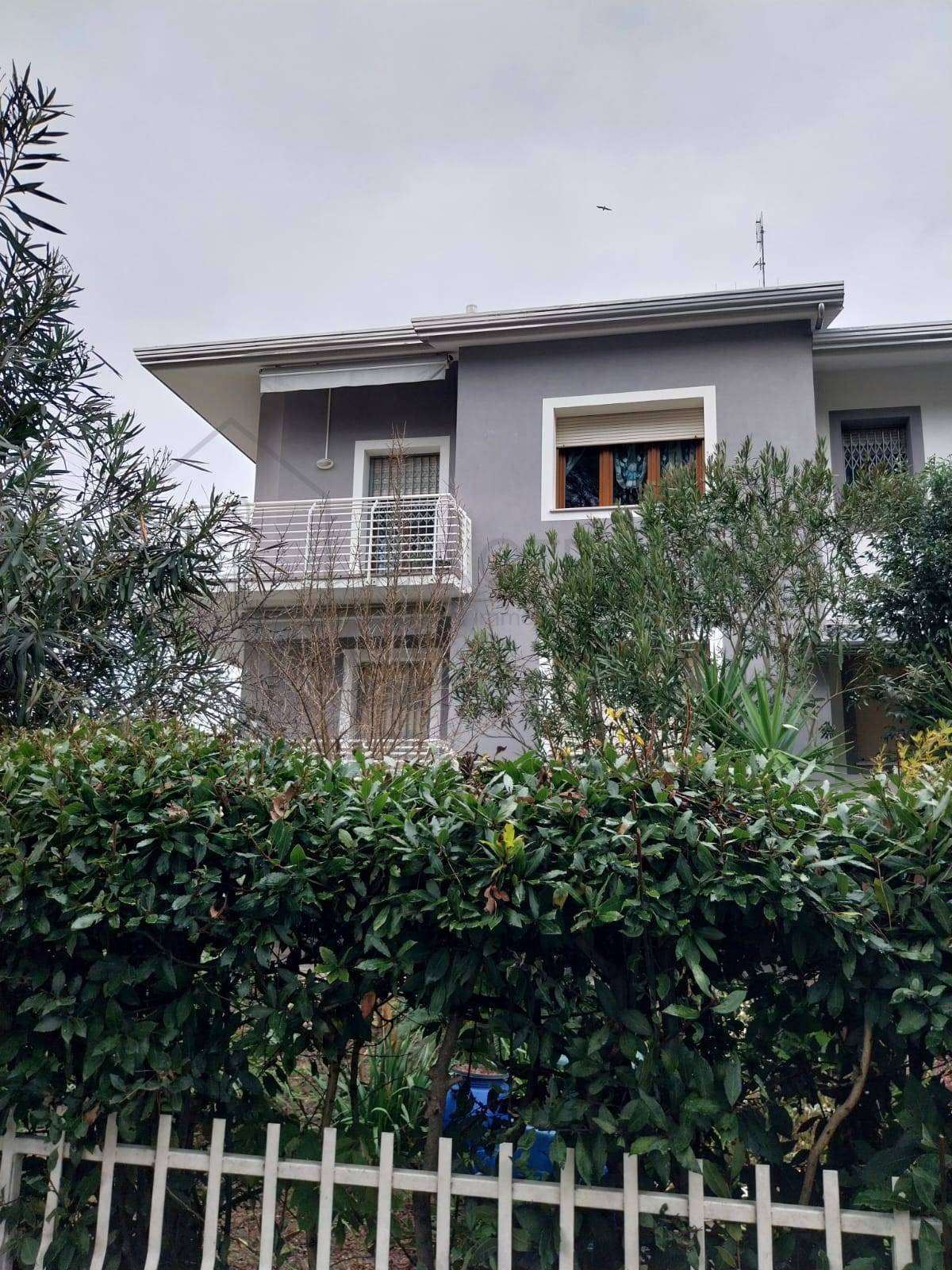 immagine annuncio 4 di 8