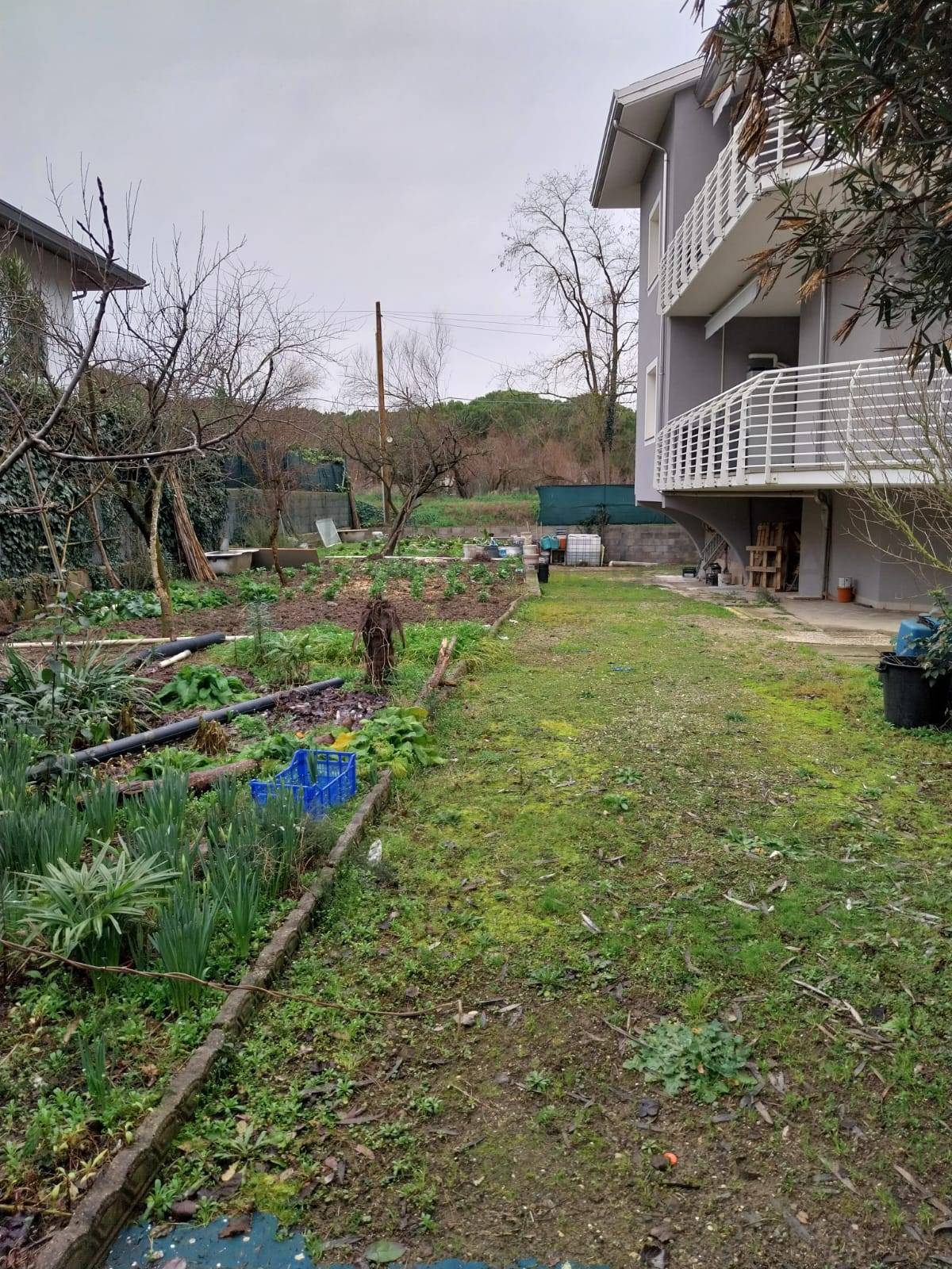 immagine annuncio 5 di 8