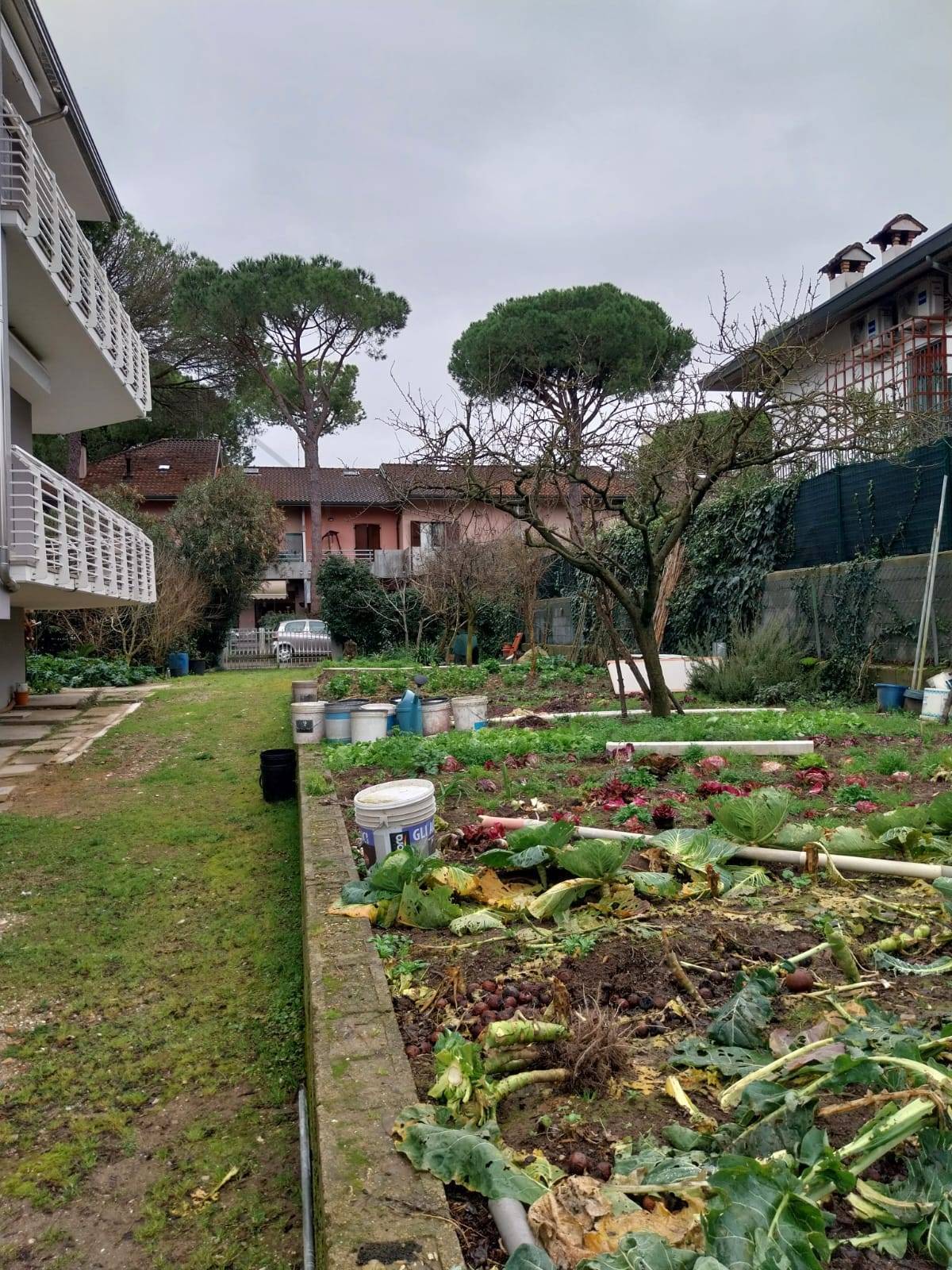 immagine annuncio 6 di 8