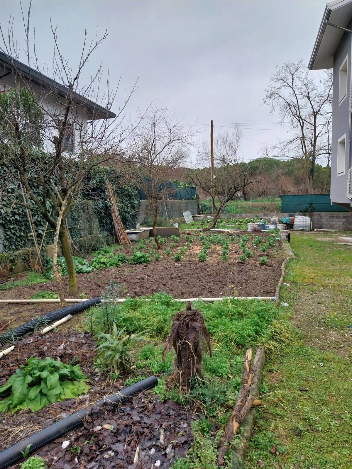 immagine annuncio 7 di 8