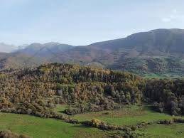 Terreno Agricolo in vendita a Mercato Saraceno, Monte Castello