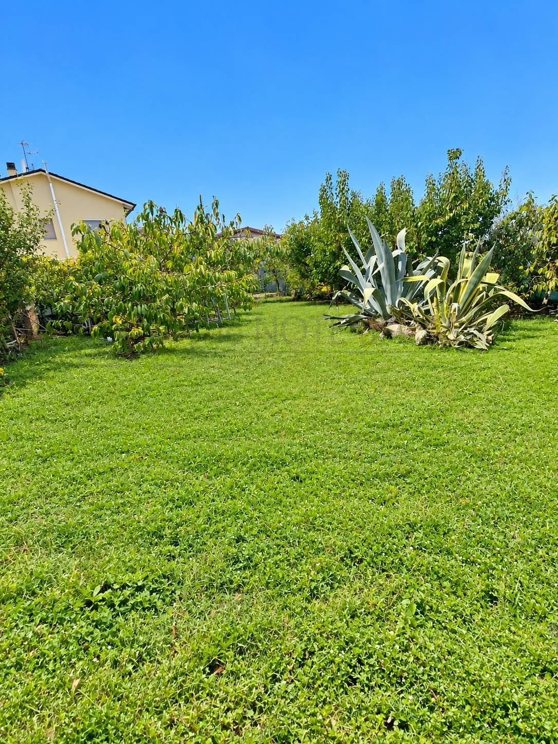 Casa singola in vendita a Cervia, Montaletto