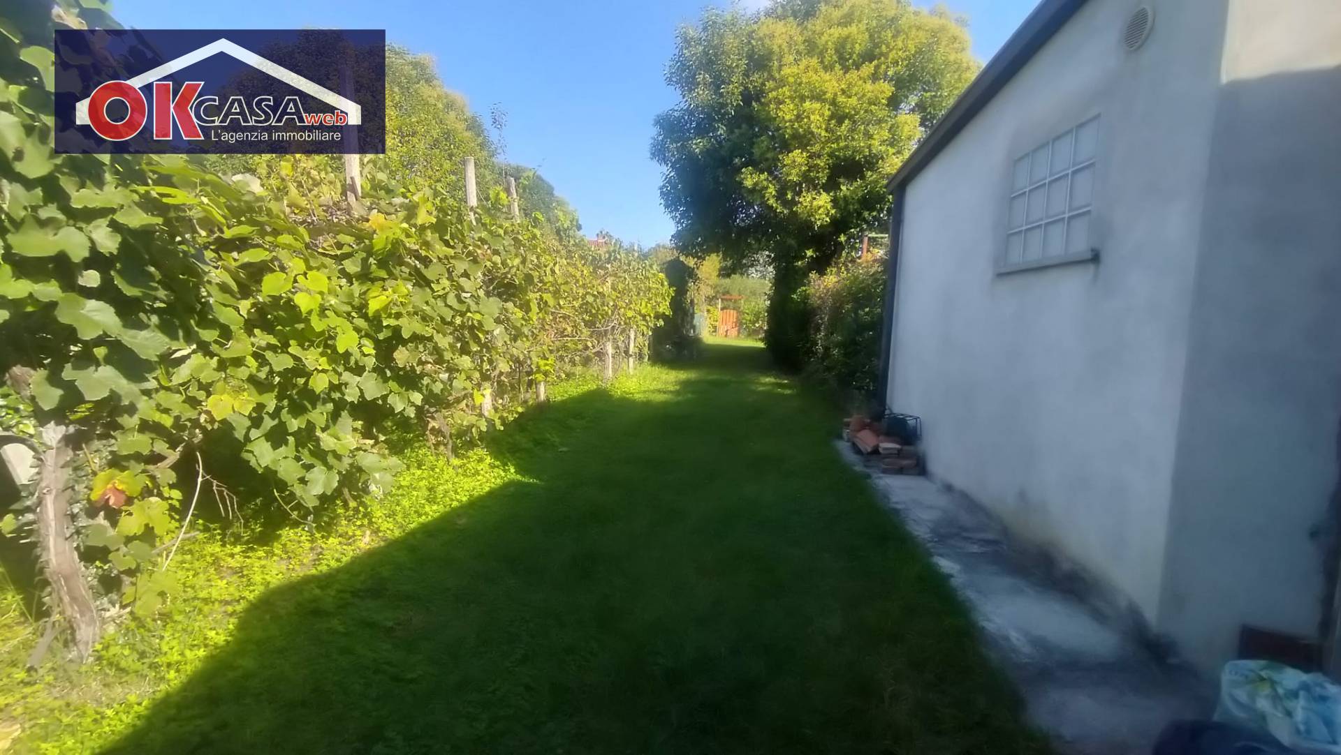immagine annuncio 1 di 10