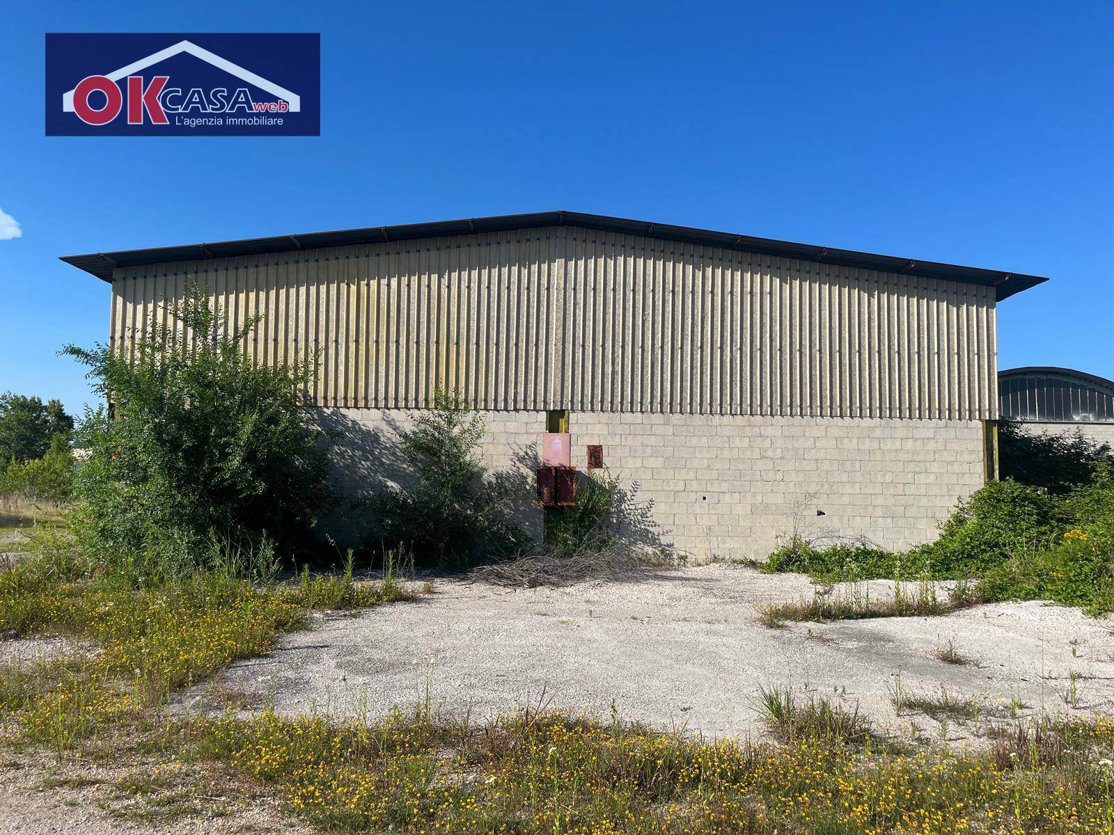 immagine annuncio 1 di 10