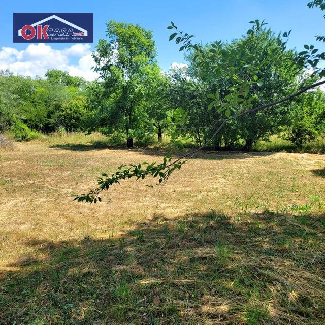 Terreno Agricolo in vendita a San Canzian d'Isonzo