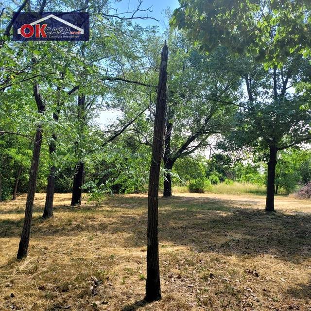 Terreno Agricolo in vendita a San Canzian d'Isonzo