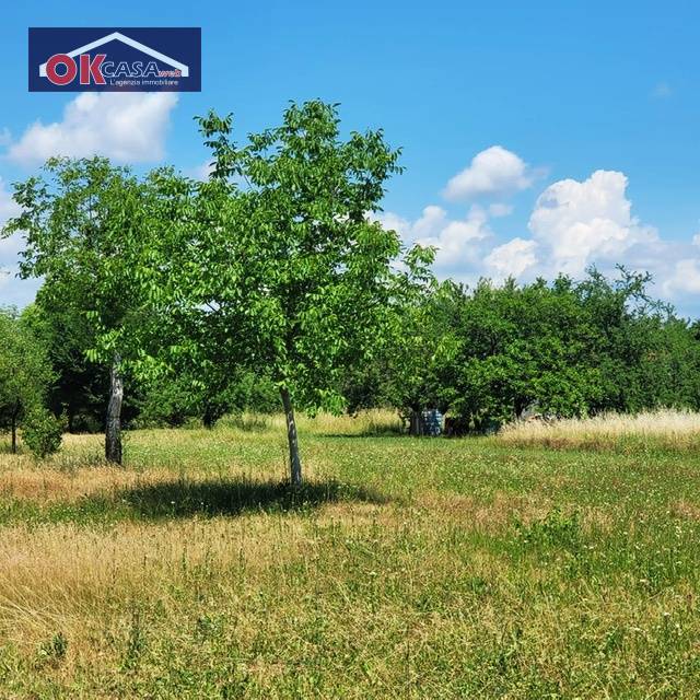 Terreno Agricolo in vendita a San Canzian d'Isonzo