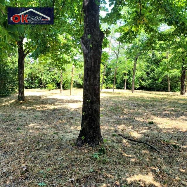 Terreno Agricolo in vendita a San Canzian d'Isonzo