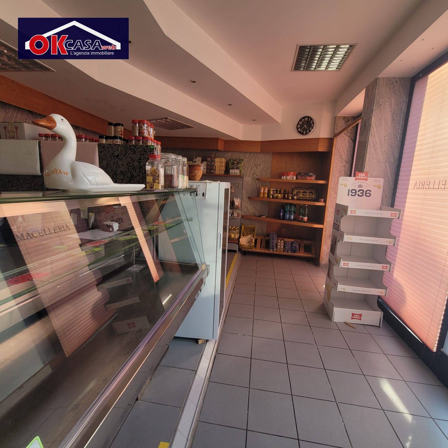 immagine annuncio 2 di 6