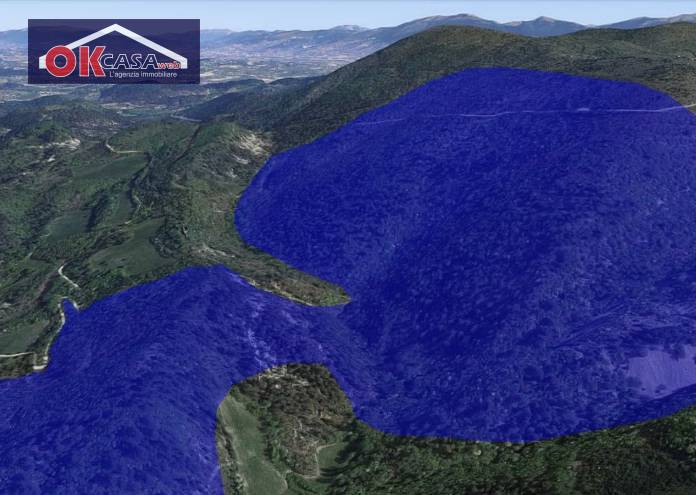 immagine annuncio 1 di 2