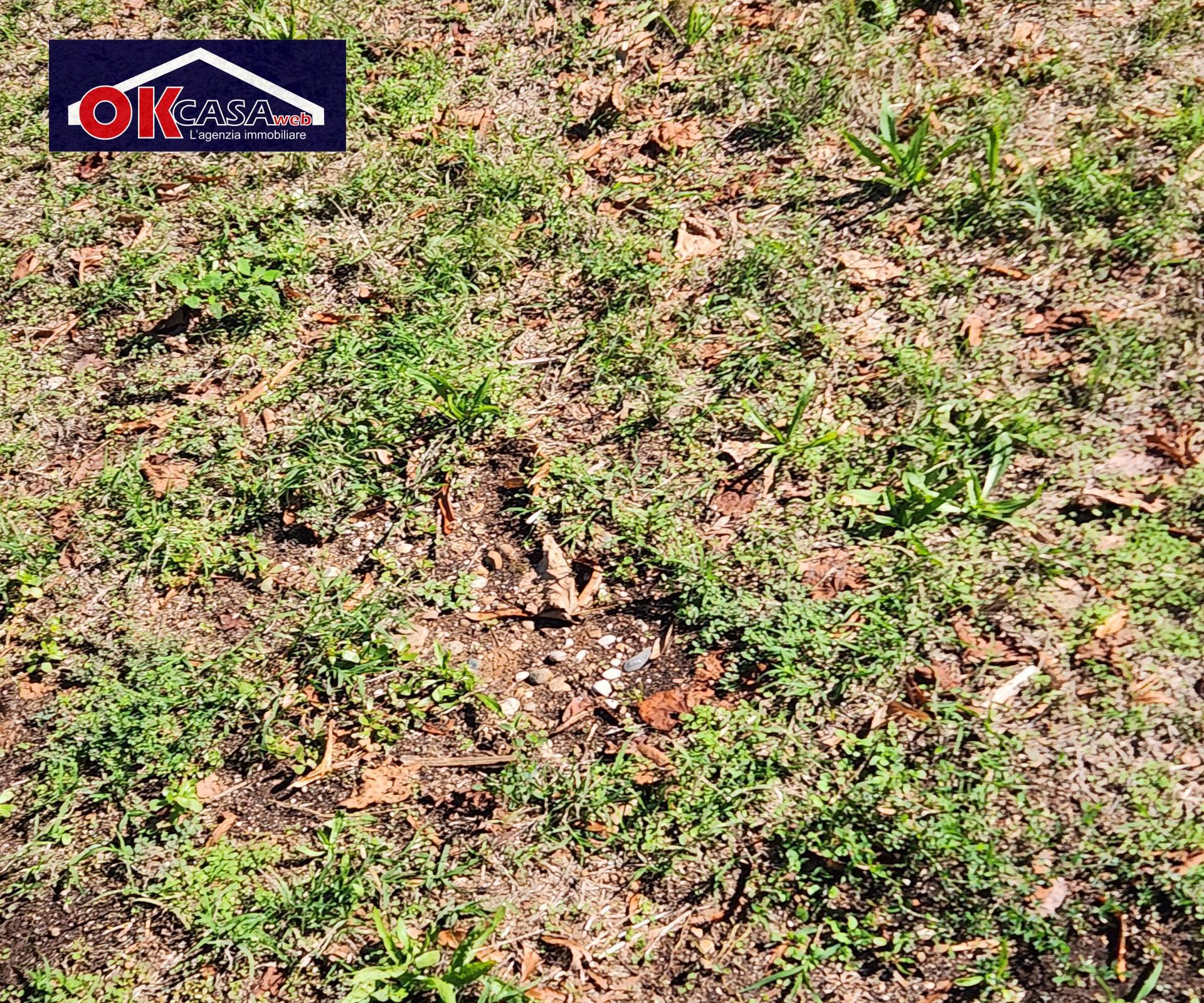 Rustico in vendita a Villafranca di Verona, Rosegaferro