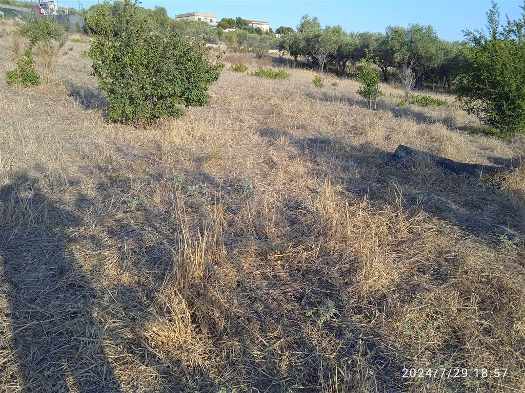 Terreno Agricolo in vendita in contrada cugno vela, Agrigento