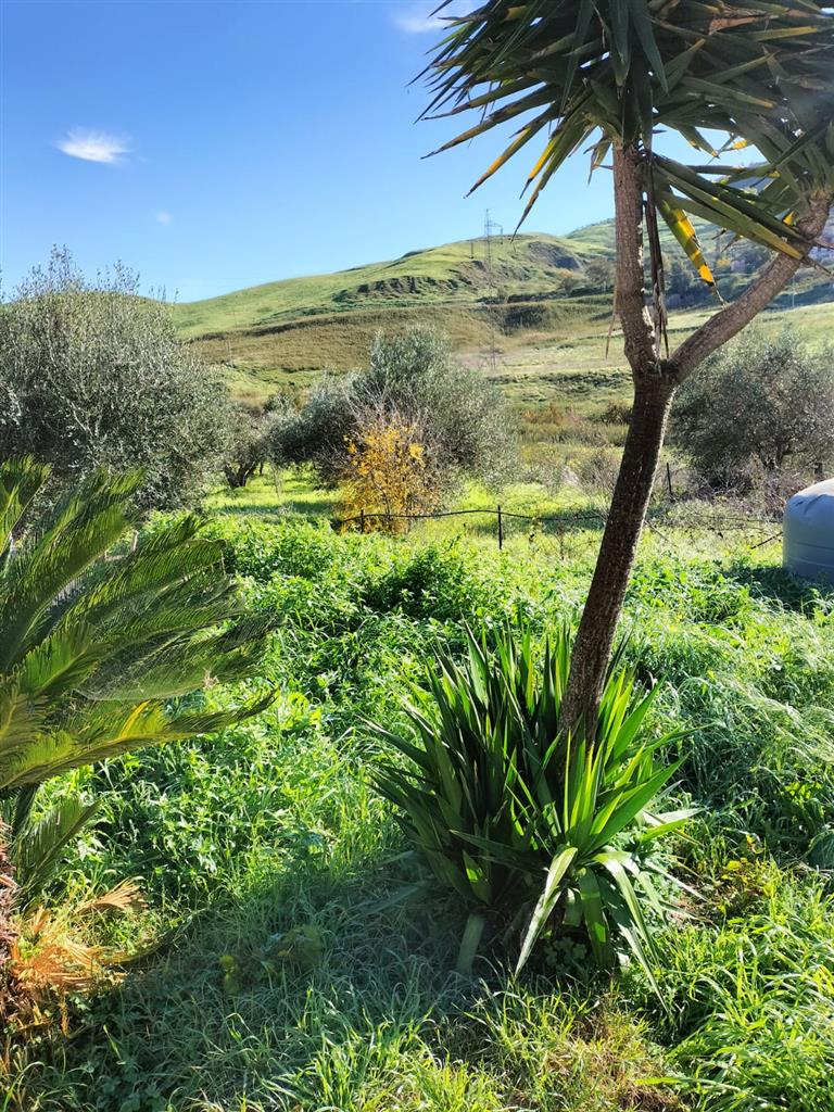 Casa indipendente con giardino in piano gatta, Agrigento