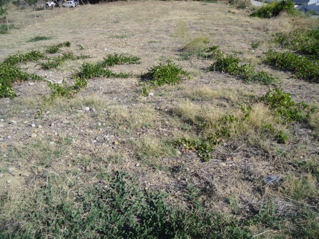 Terreno Edificabile in vendita in via leonardo sciascia, Agrigento