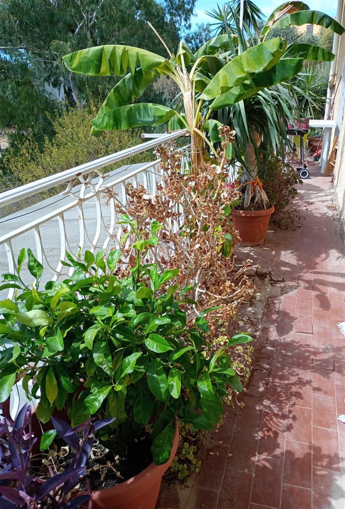 Appartamento vista mare in via solferino, Agrigento