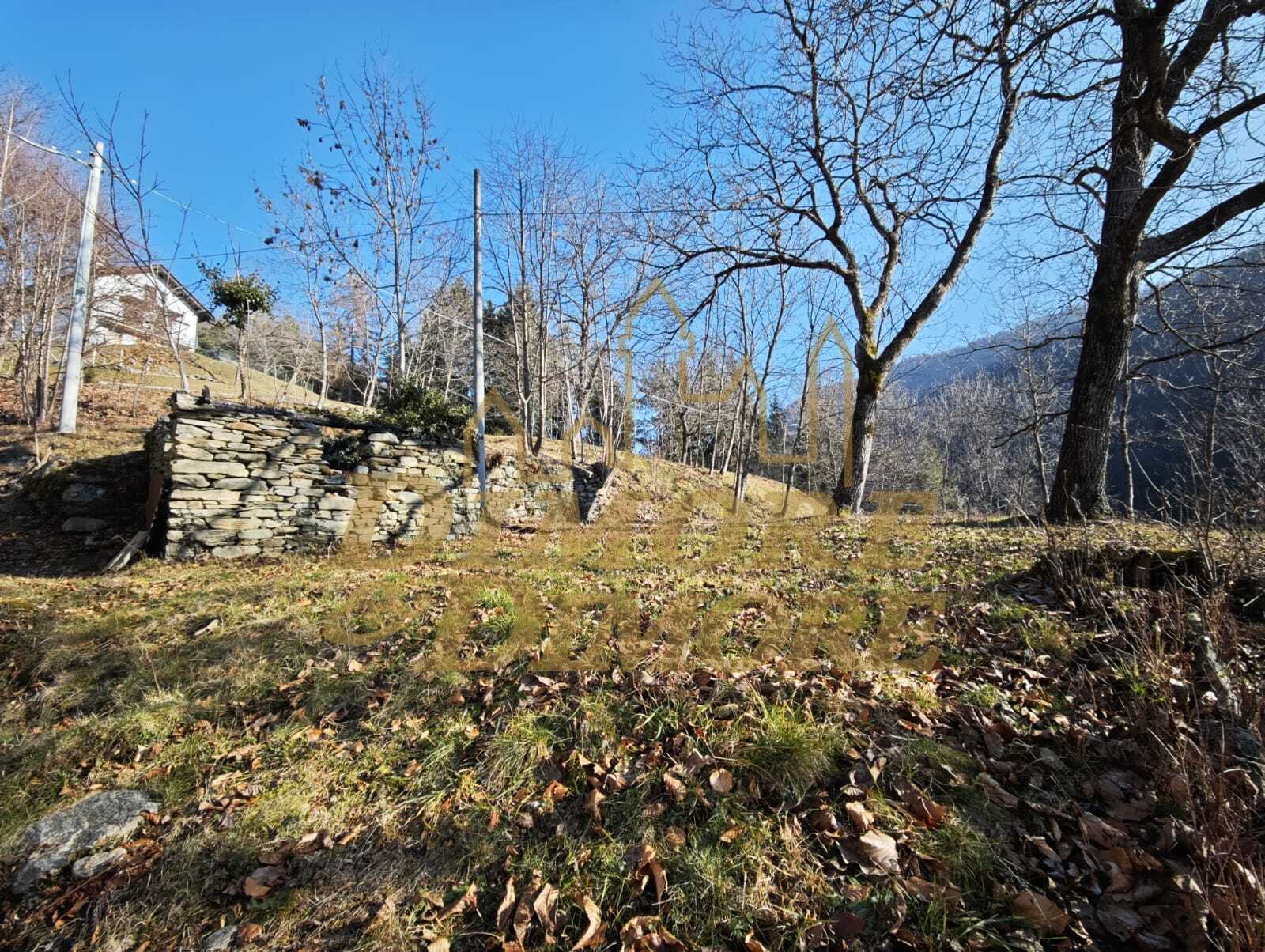 Rustico con giardino in via colonnello giuseppe garbagni 92, Craveggia