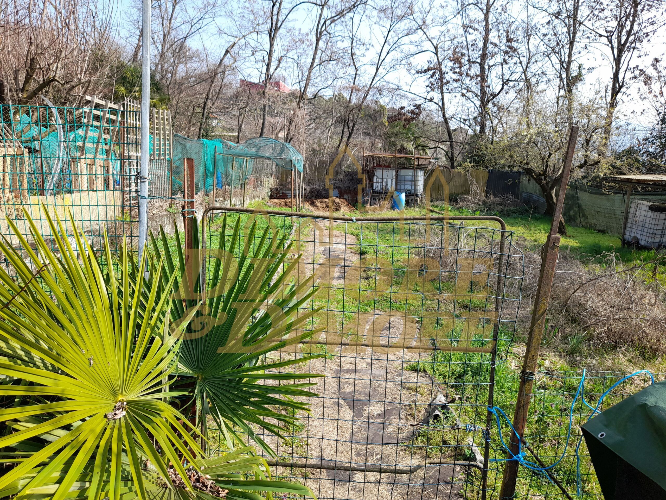 Terreno Agricolo in vendita a Verbania