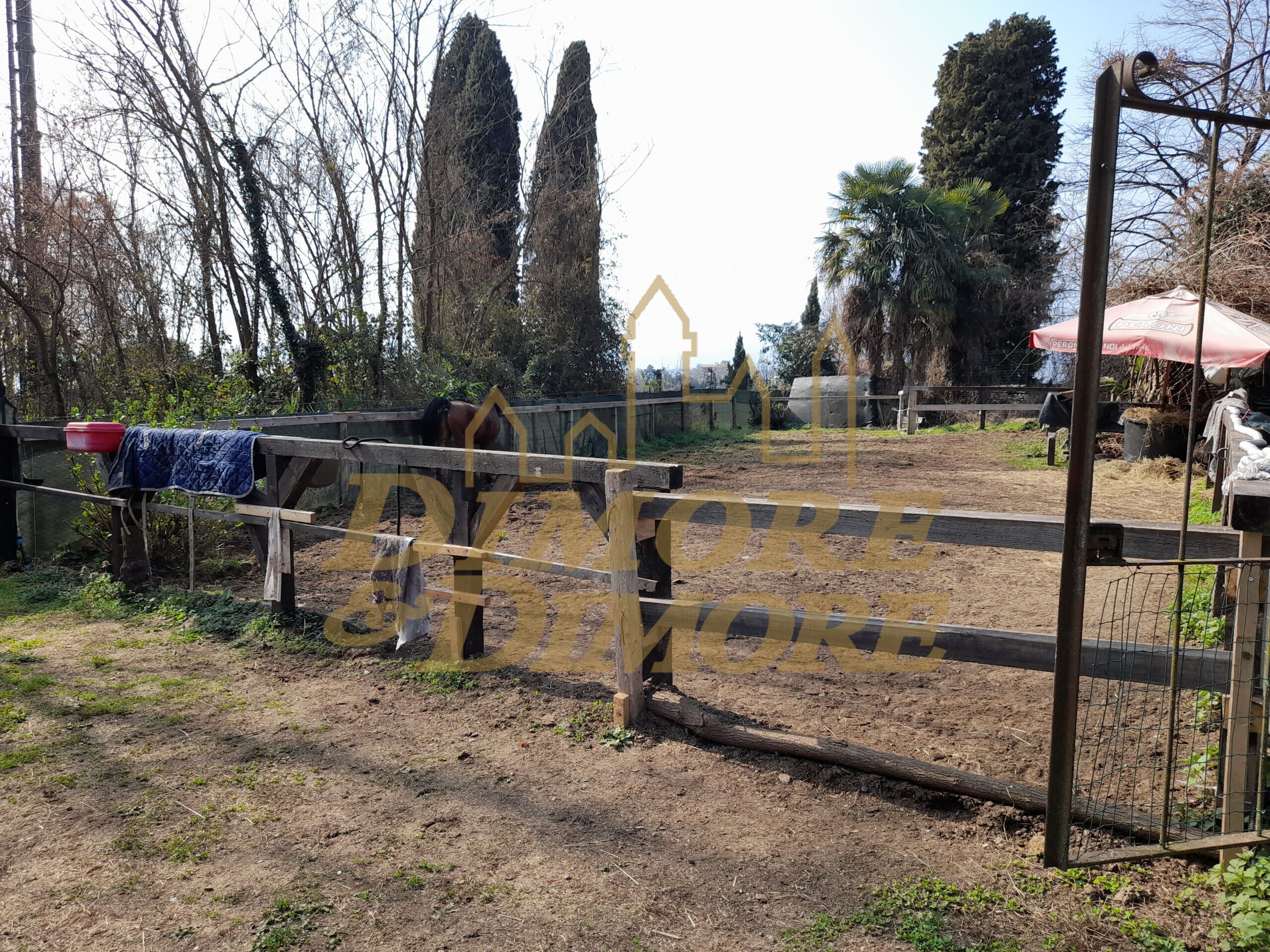 Terreno Agricolo in vendita a Verbania