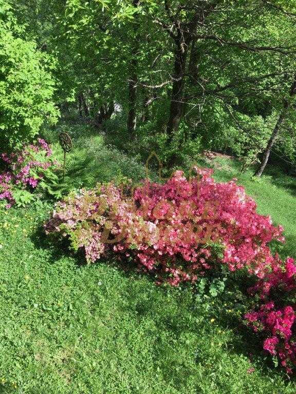 Casa indipendente con giardino a Gurro