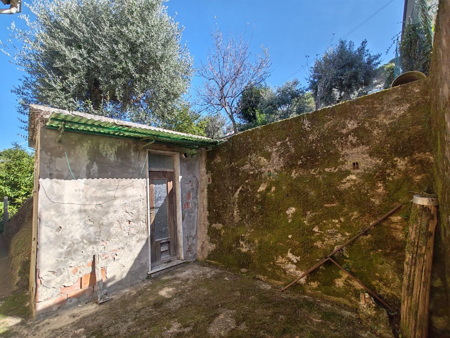 Casa indipendente con giardino a Massa