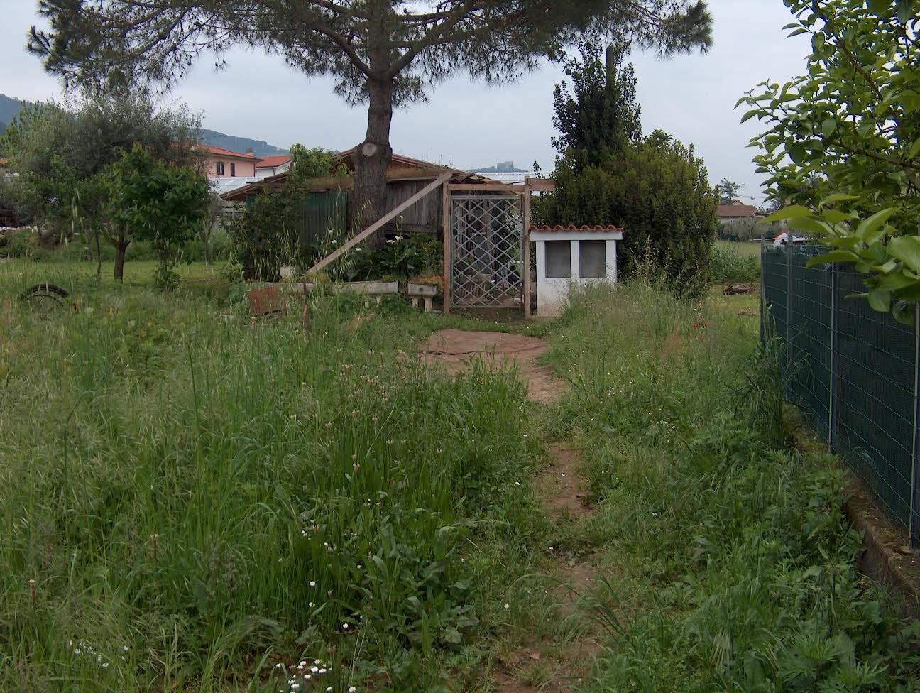 Terreno Agricolo in vendita a Massa