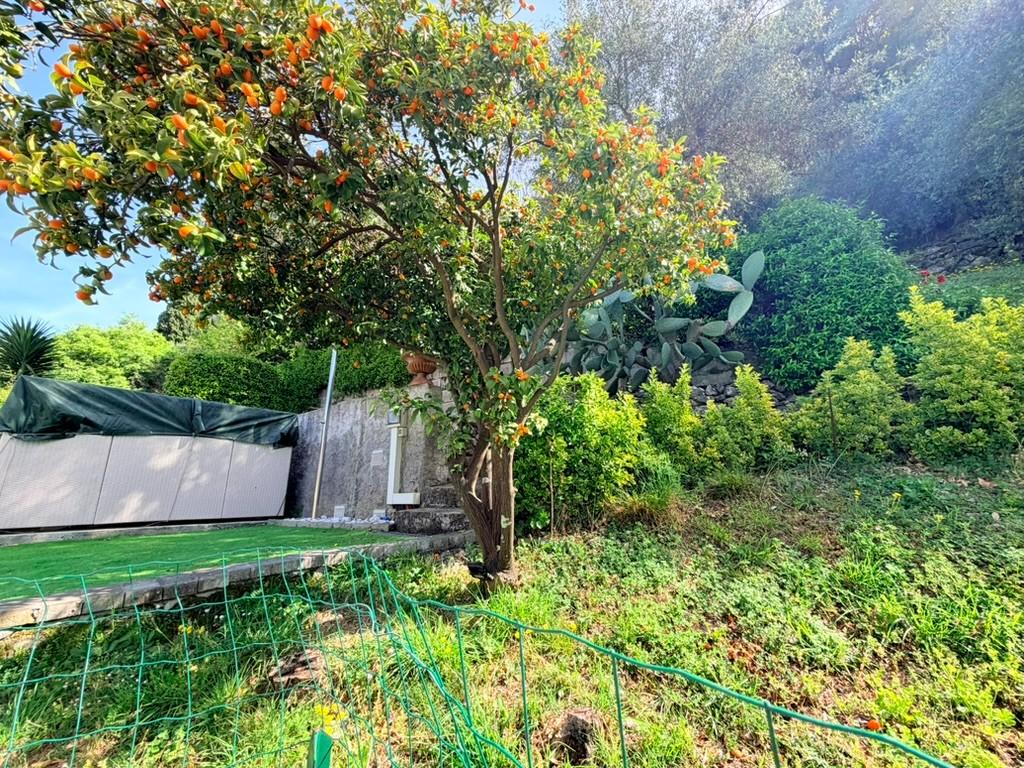 Quadrilocale con giardino, Massa centro