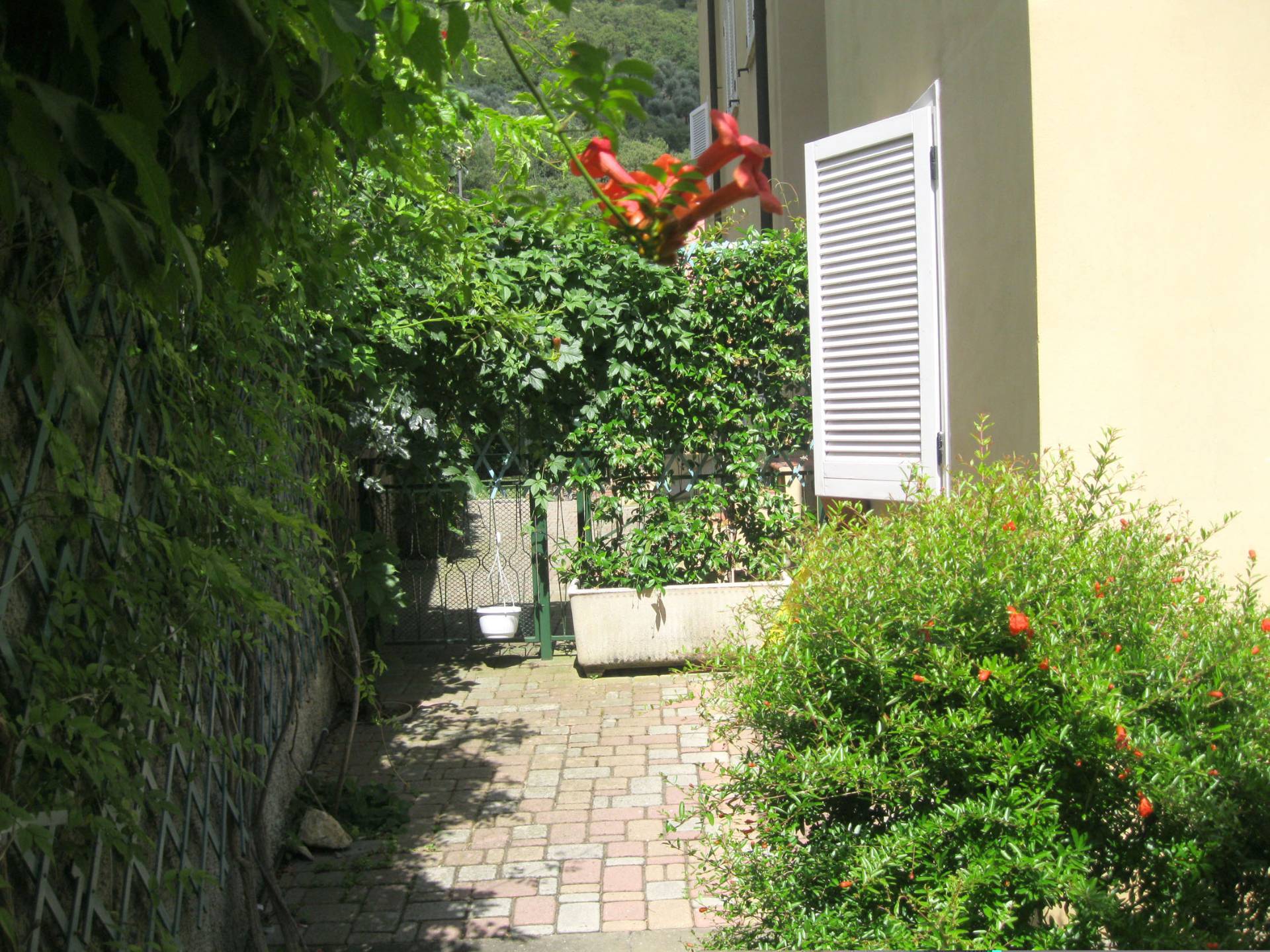 2 locali in vendita a Diano Arentino