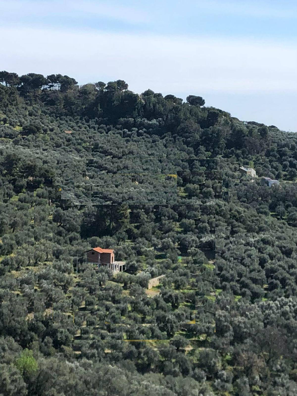 Villa in vendita a Diano Marina