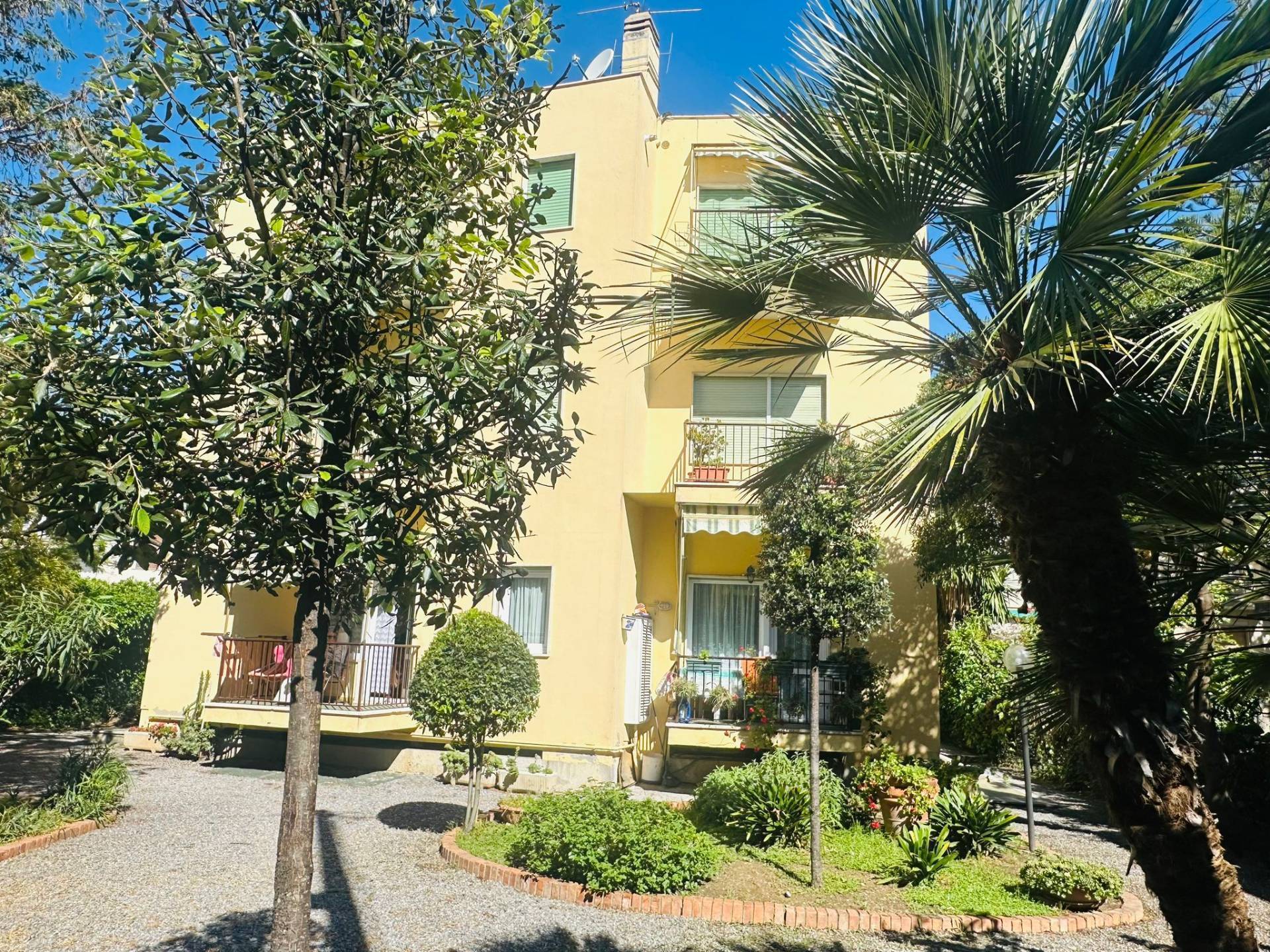 3 locali in affitto a Diano Marina