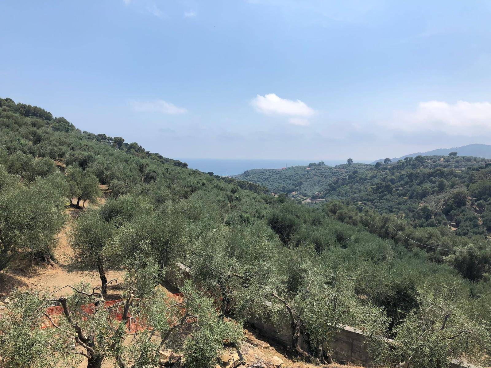 Villa in vendita a Diano Marina