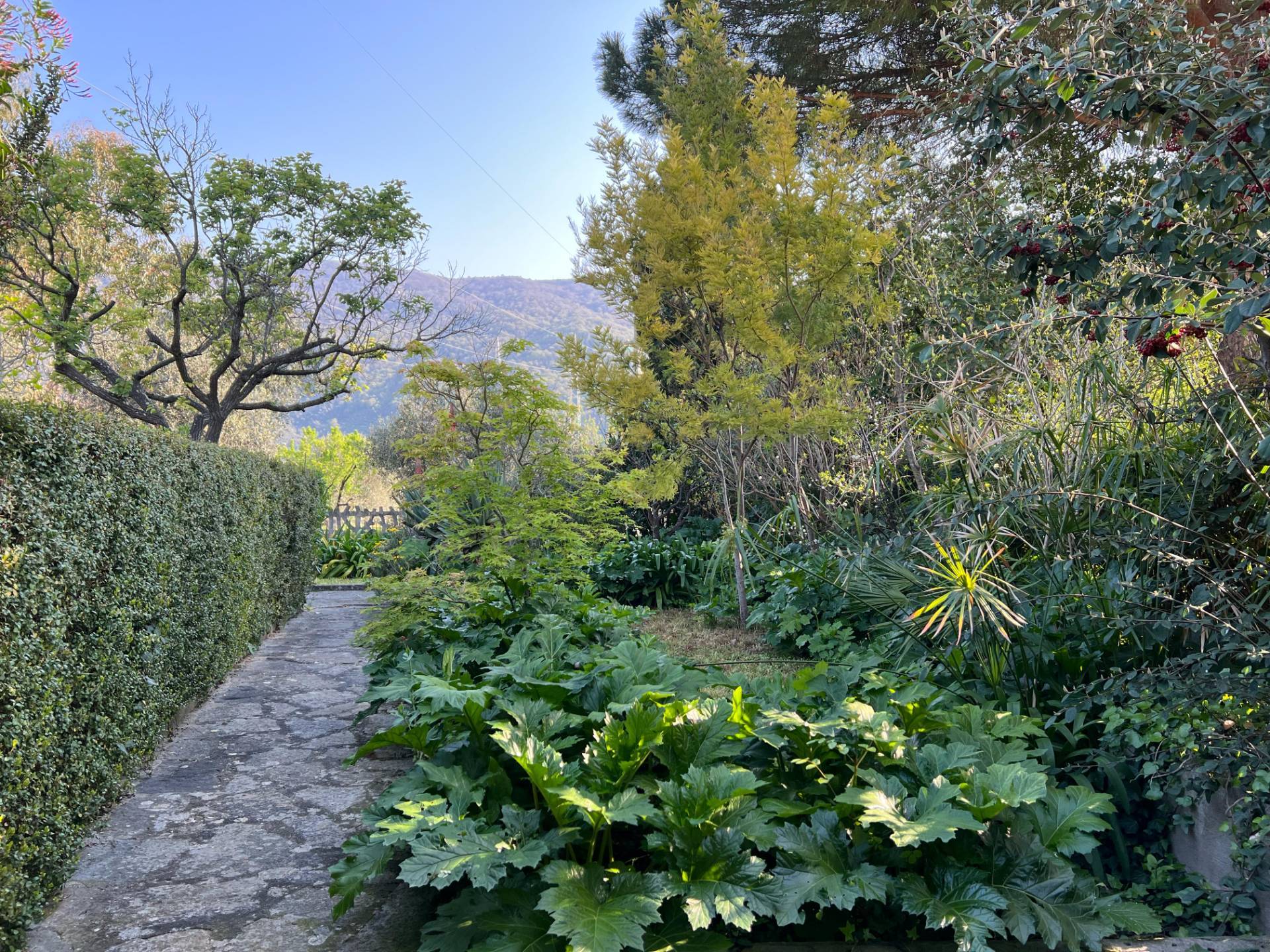 2 locali in vendita a Diano Arentino