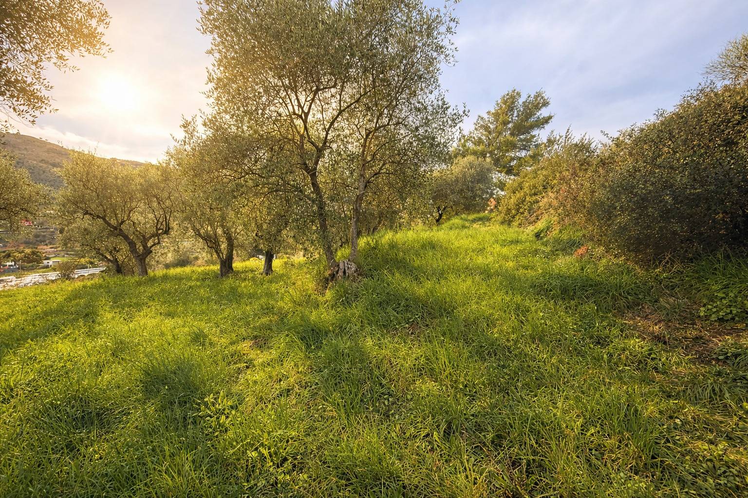 Casa indipendente in vendita a Imperia