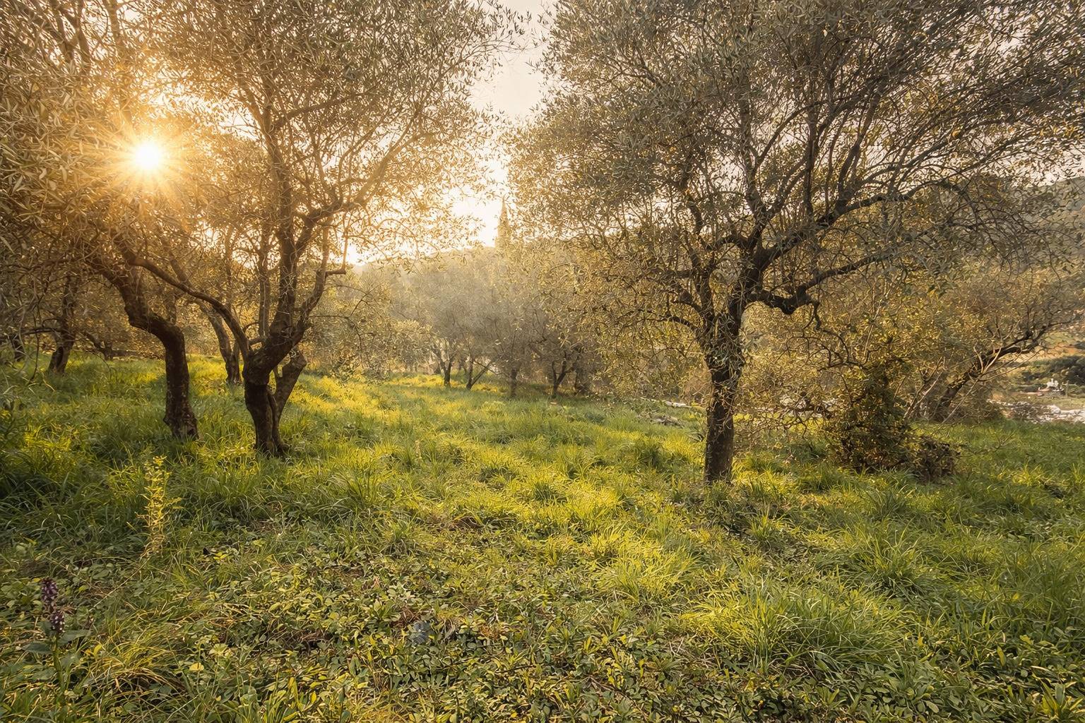Casa indipendente in vendita a Imperia