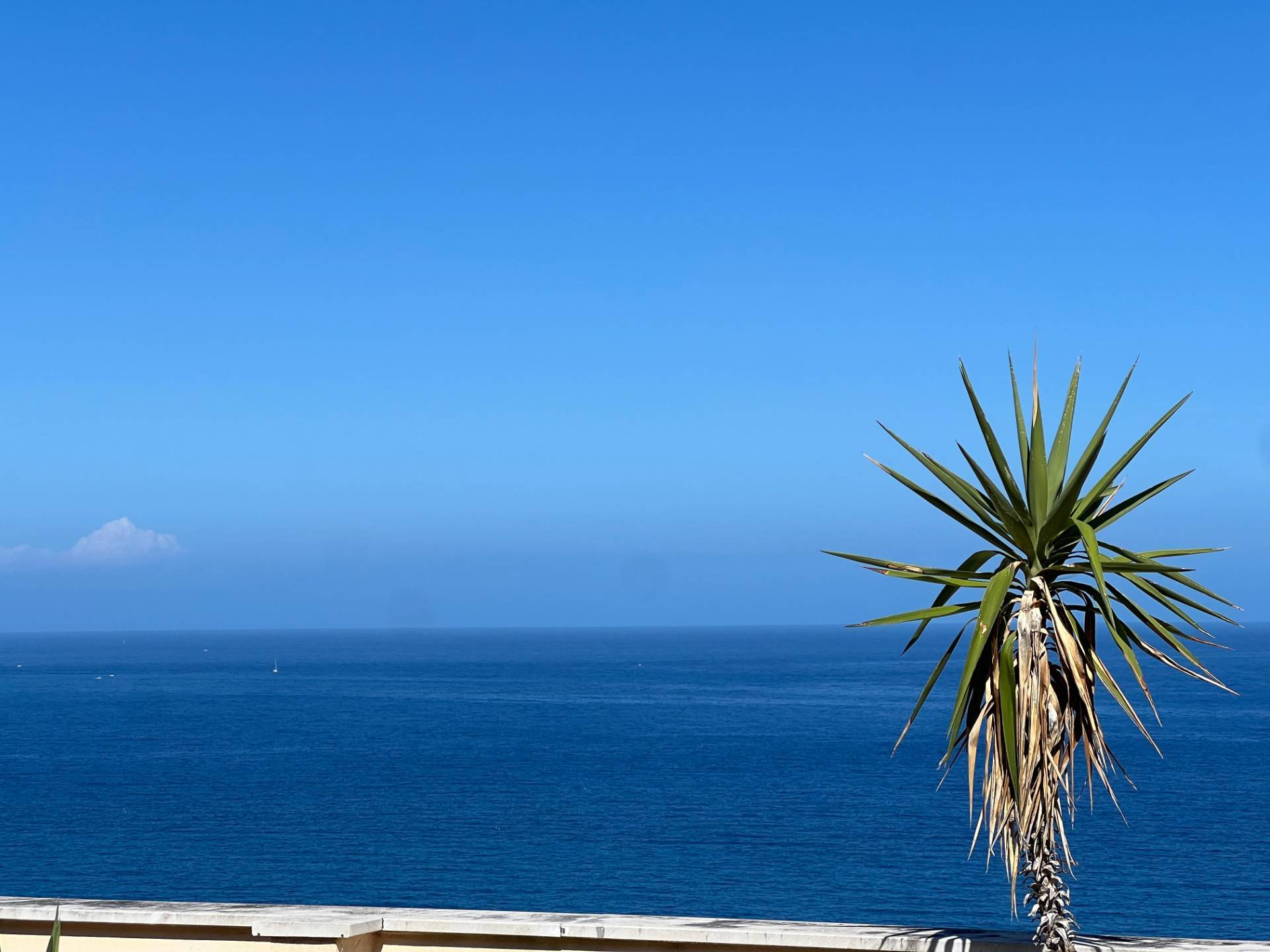 2 locali in vendita a Cervo, Cervo - Capo Mimosa