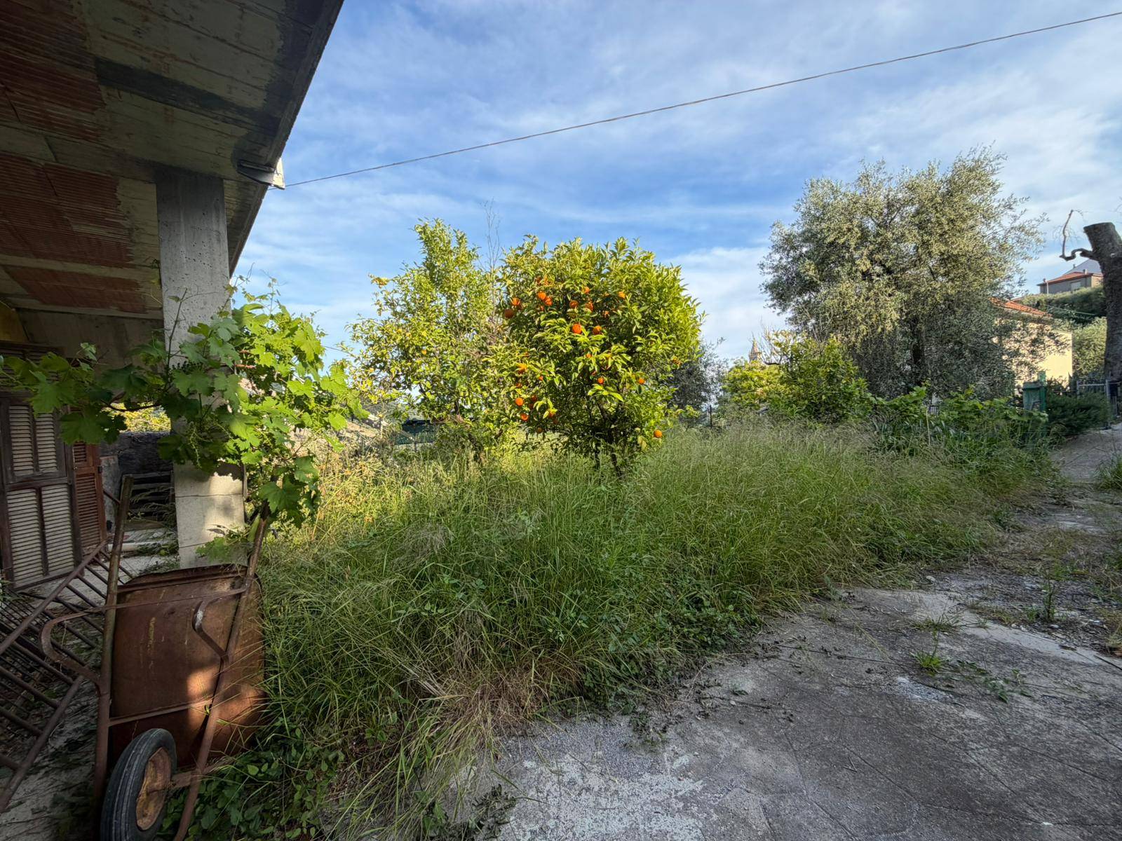 3 locali in vendita a Diano Arentino, Diano Borello
