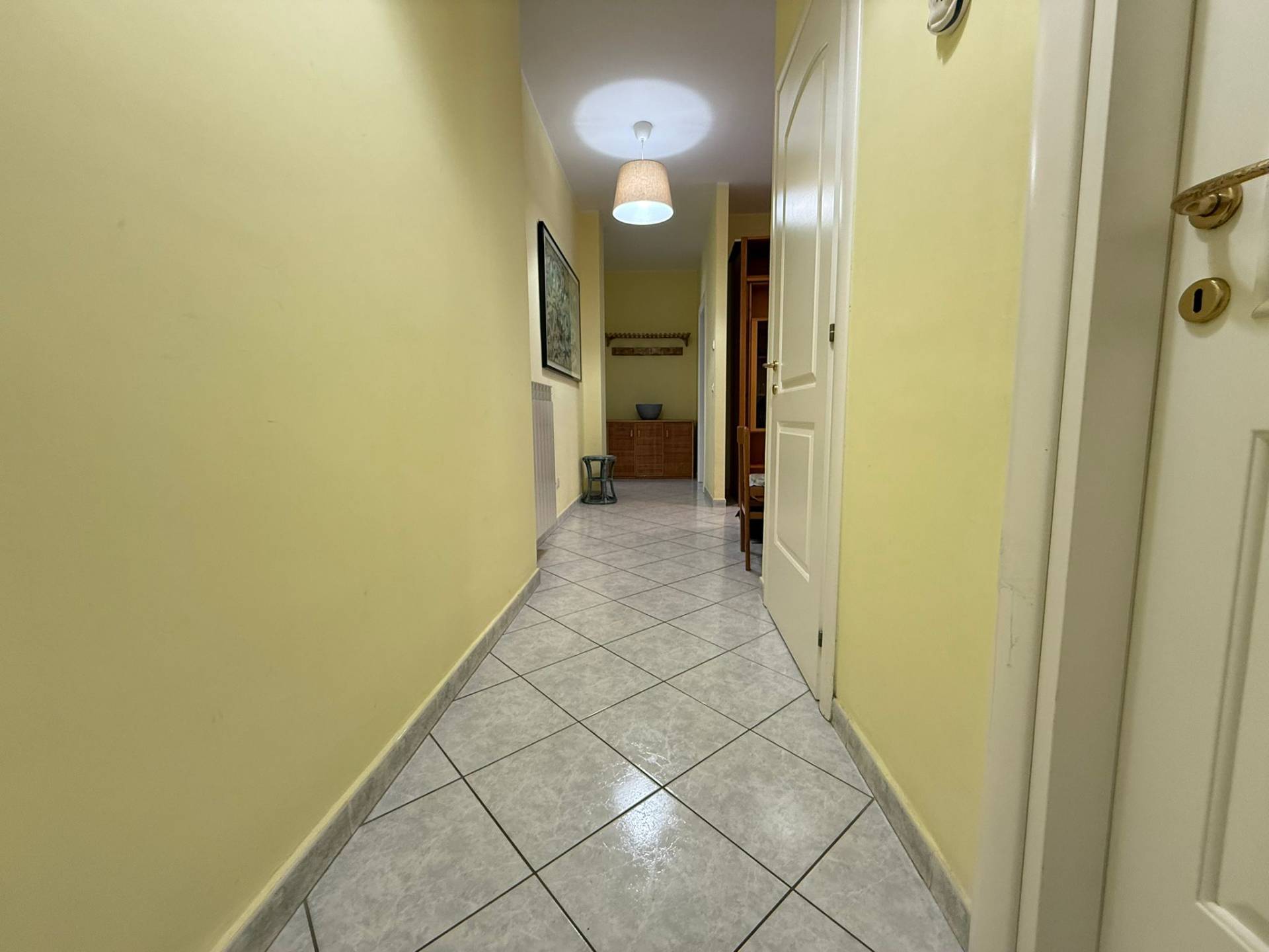 3 locali in affitto a San Bartolomeo al Mare