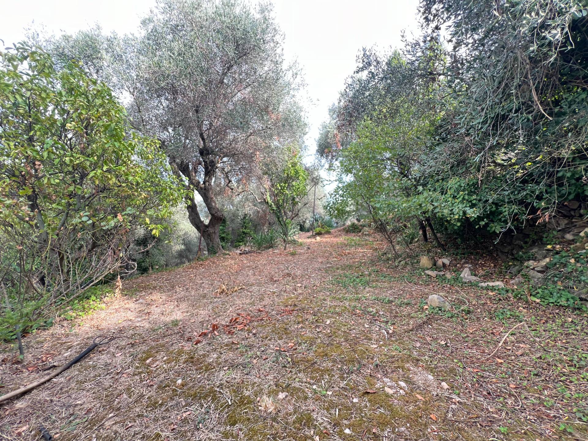 Loft in vendita a Diano Arentino