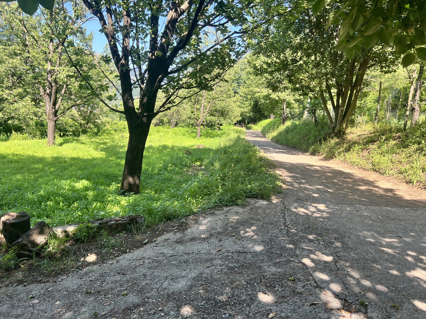 Terreno Agricolo in vendita a Nocera Superiore