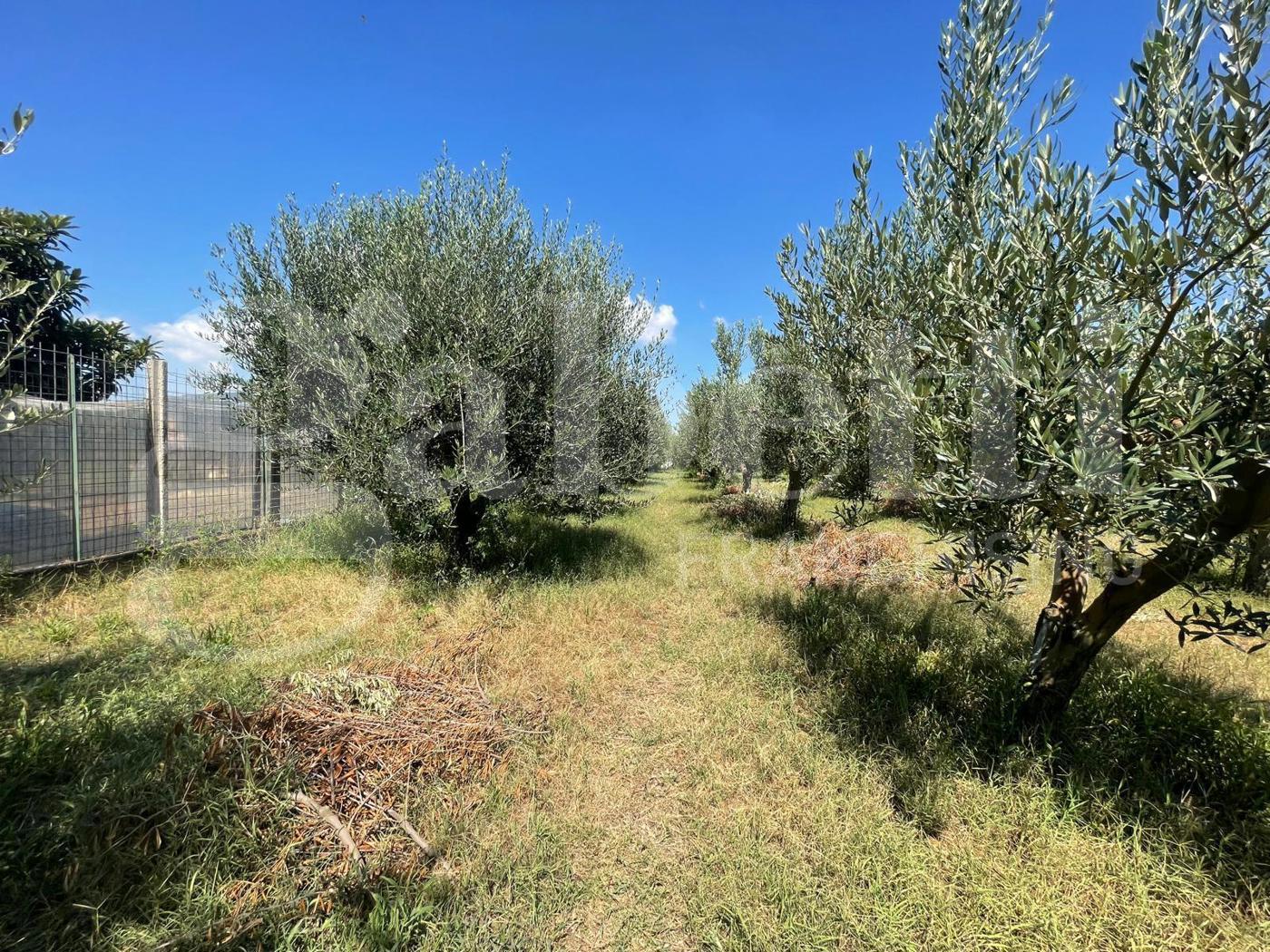 Bilocale con giardino a Pompei