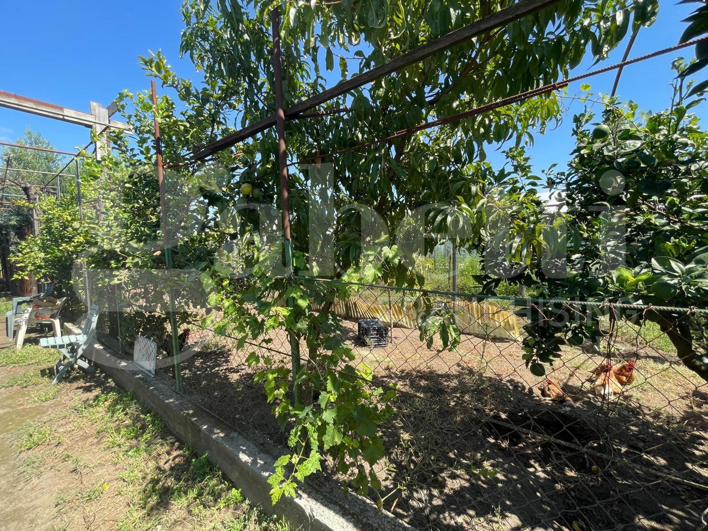 Bilocale con giardino a Pompei