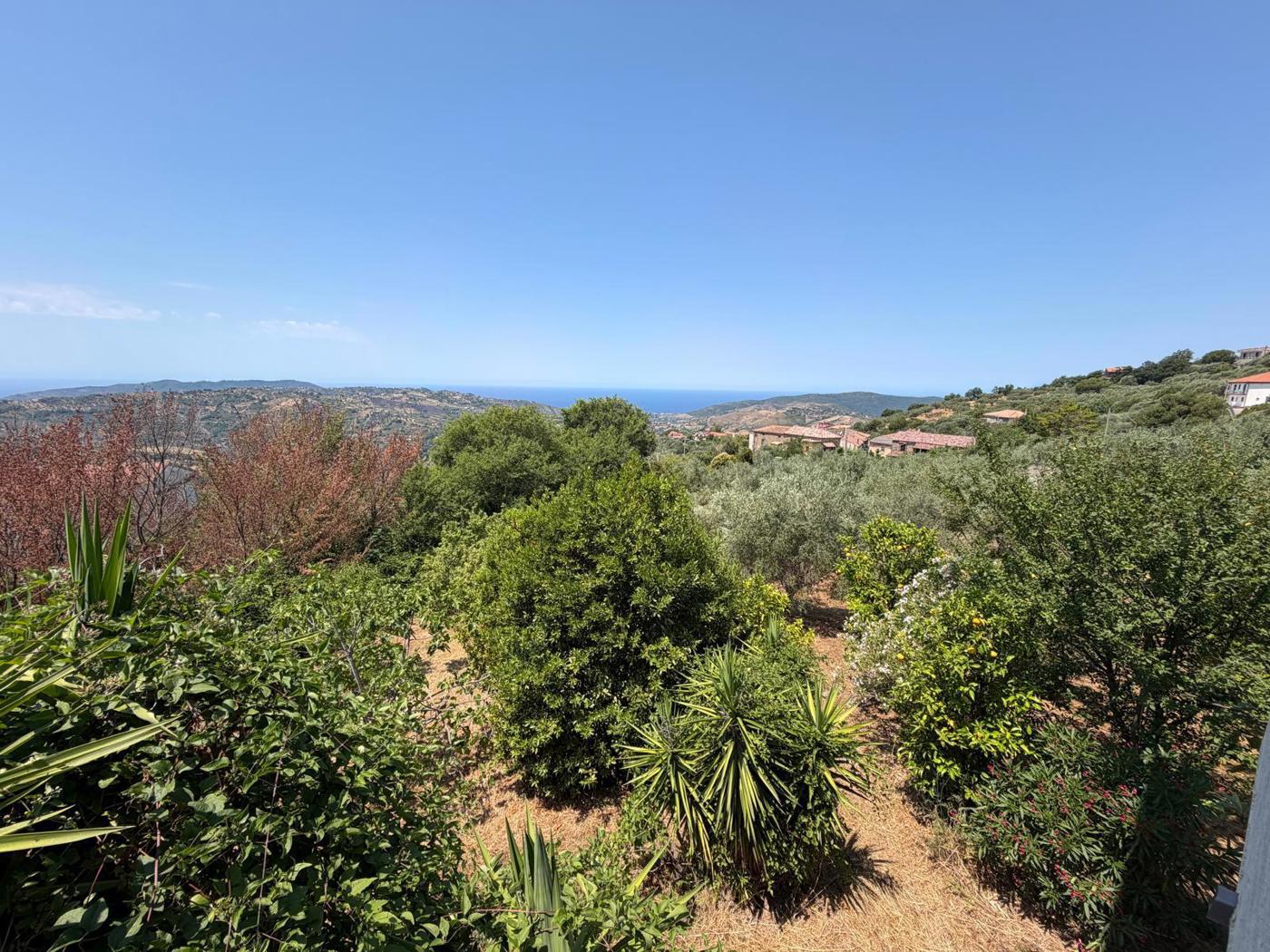 Villa Bifamiliare in vendita a Laureana Cilento