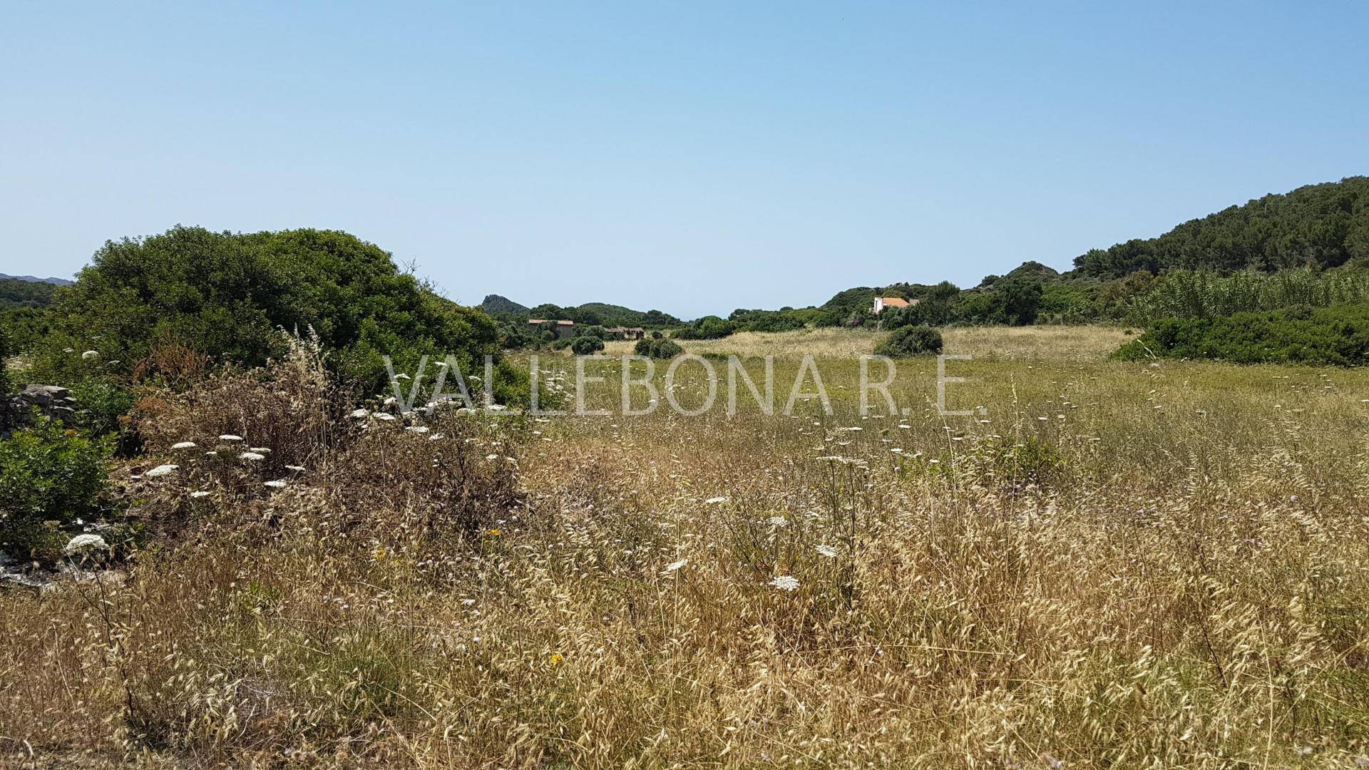 Terreno in vendita, Carloforte fuori paese,outside town