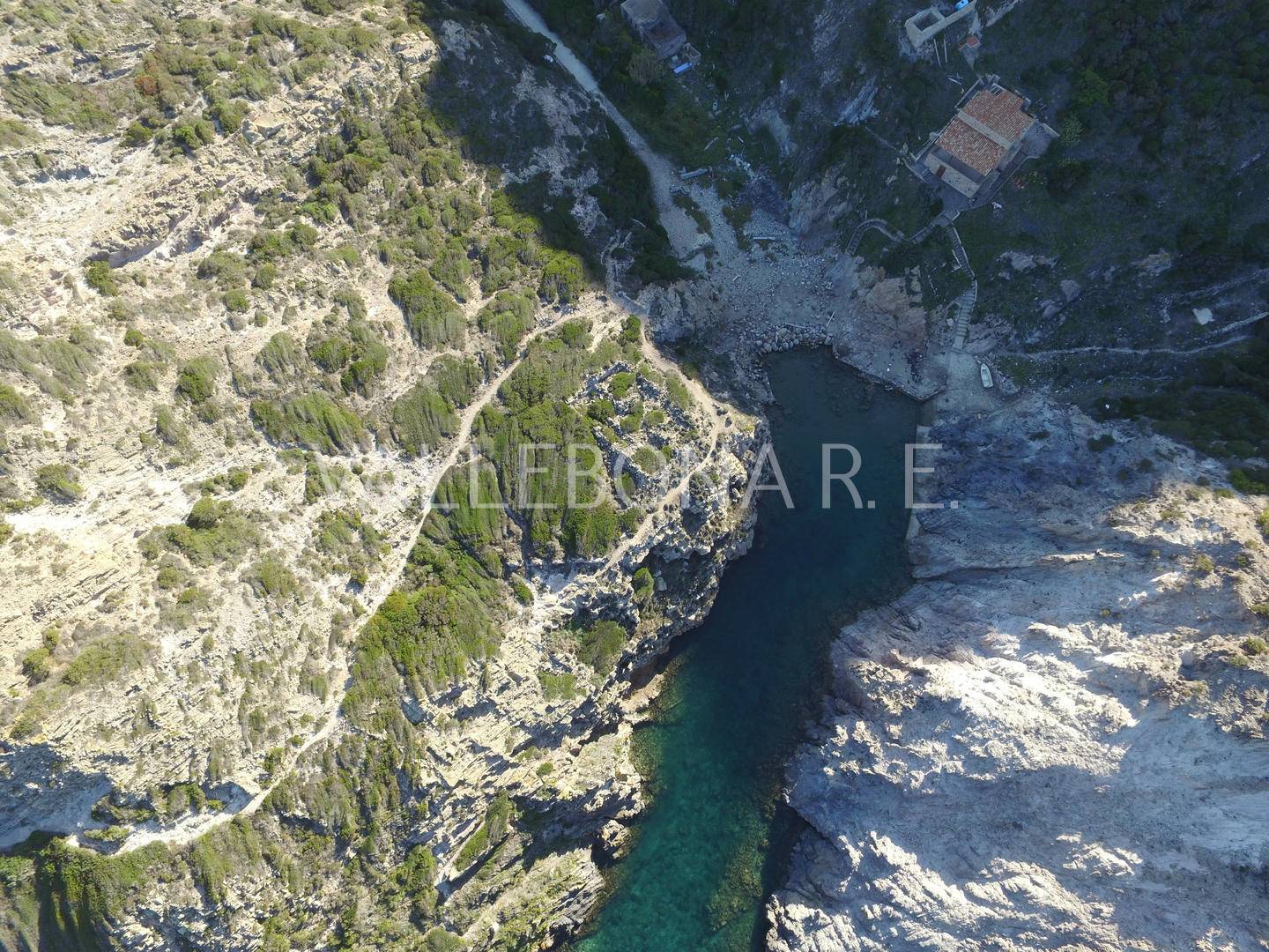 immagine annuncio 5 di 6