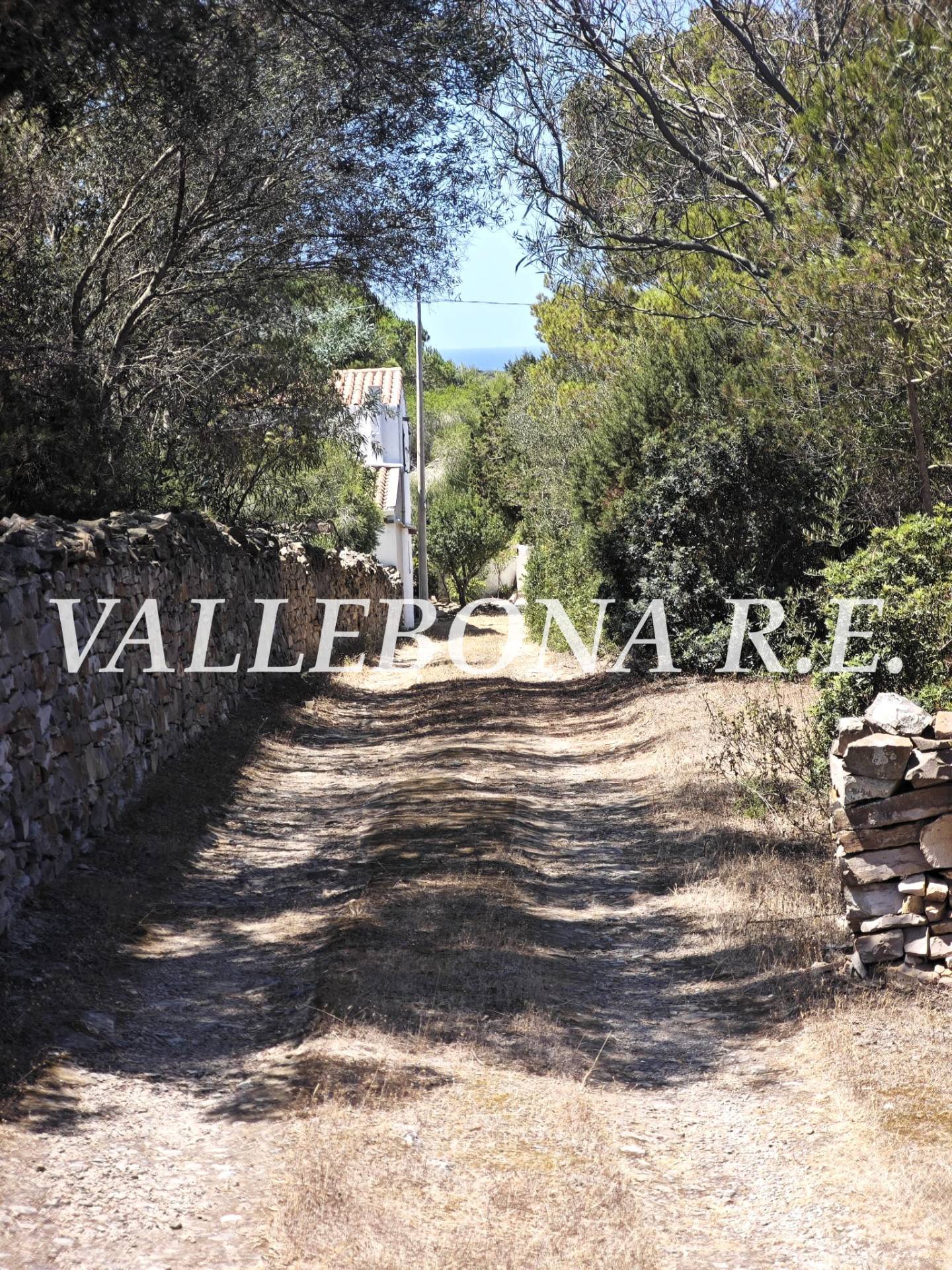 Villa singola in vendita a Carloforte, Carloforte fuori paese/Outside town