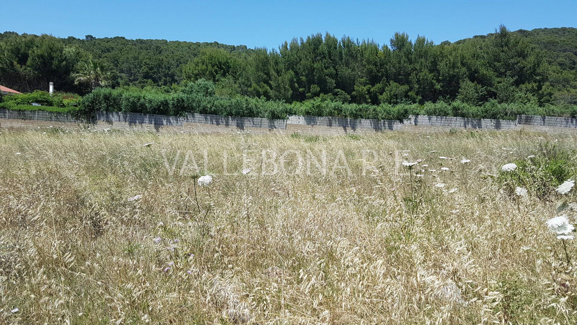 Terreno agricolo in vendita a Carloforte, Carloforte fuori paese/Outside town