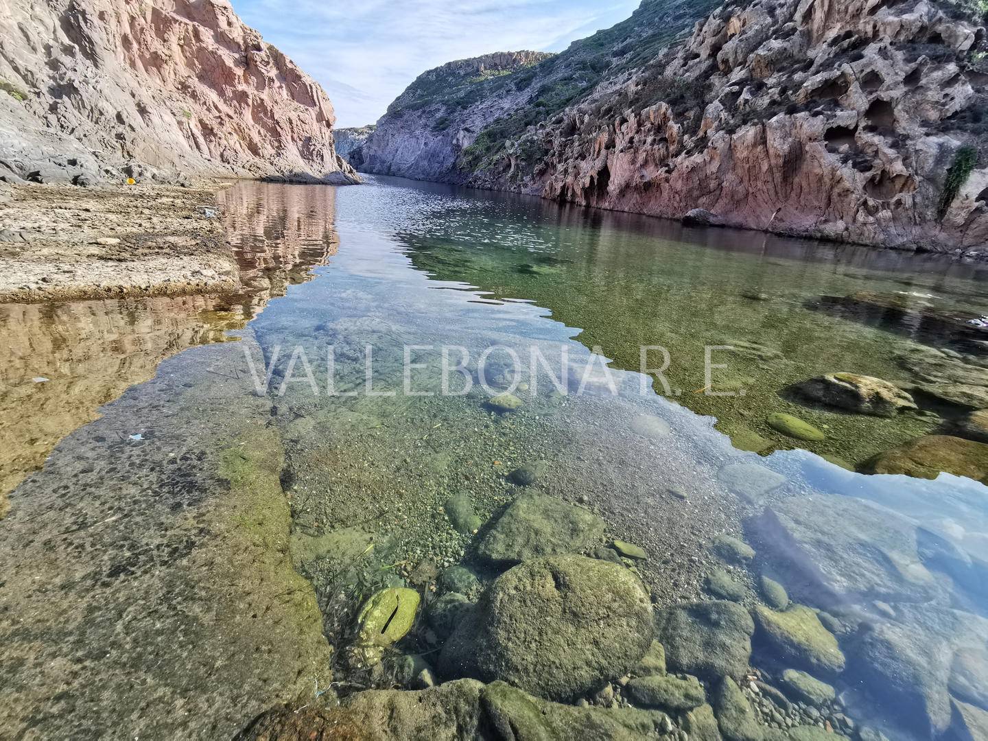 immagine annuncio 4 di 7