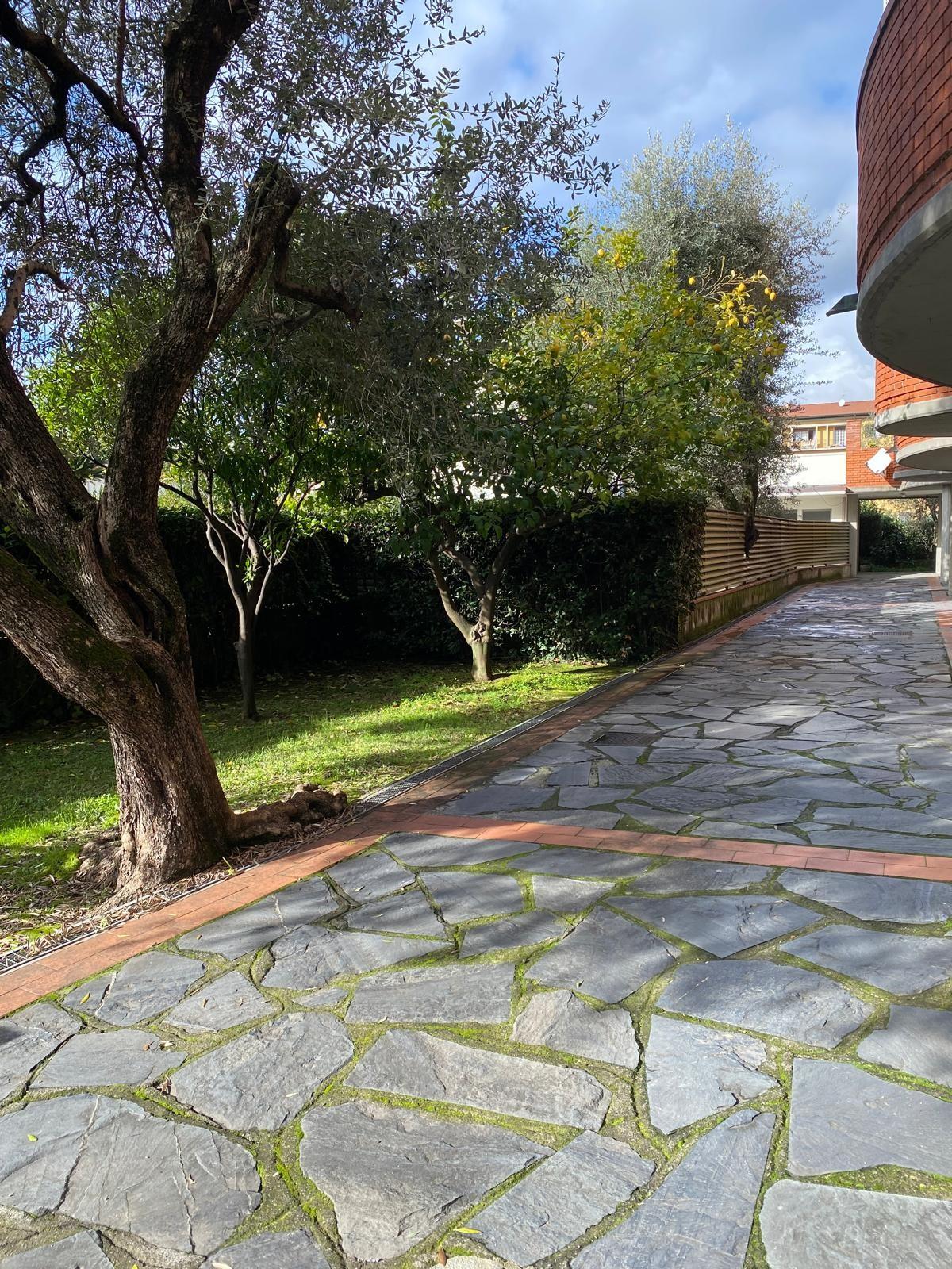 Appartamento in vendita, Massa zona viali